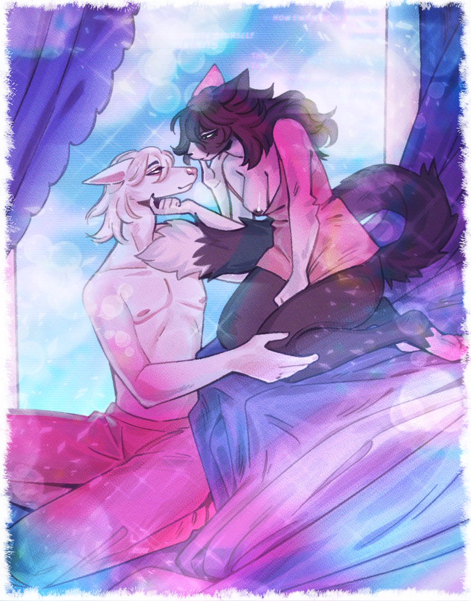 t4t lovebirds