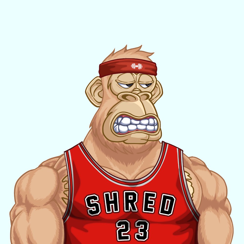 In celebration of #ShredCamp 4.0 Week 1 start, I’d like to giveaway this <a href="/ShreddedApes/">Shredded Apes</a> 

Must like, retweet &amp; follow me to enter!

Tag a degen friend who needs to hit the gym 💪🏽

Health is wealth ❤️🦍