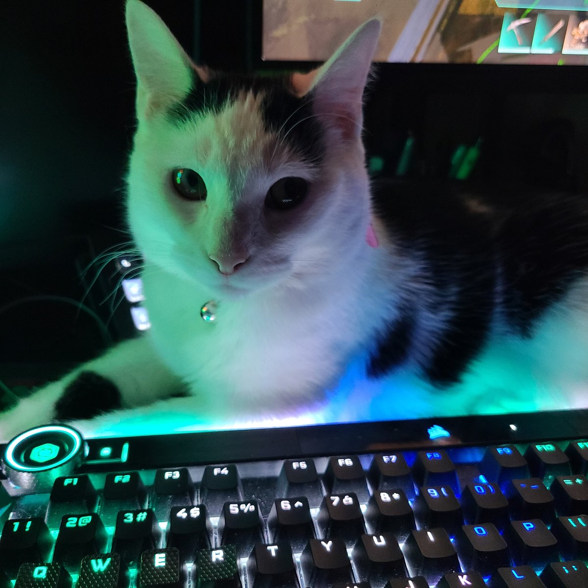 Sophie is ready to play. 💙💚 See you soon.