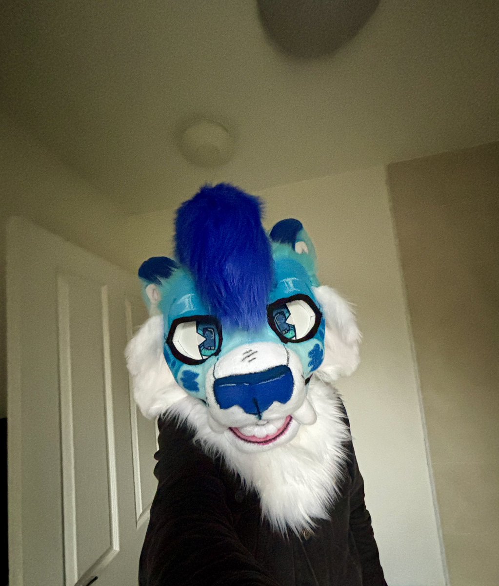 thecoreysb's tweet photo. Bit late but happy Valentines all, hope you’ve all had a good one ❤️

Also happy #FursuitFriday 

#furry #ValentinesDay https://t.co/e89RnhKP8X