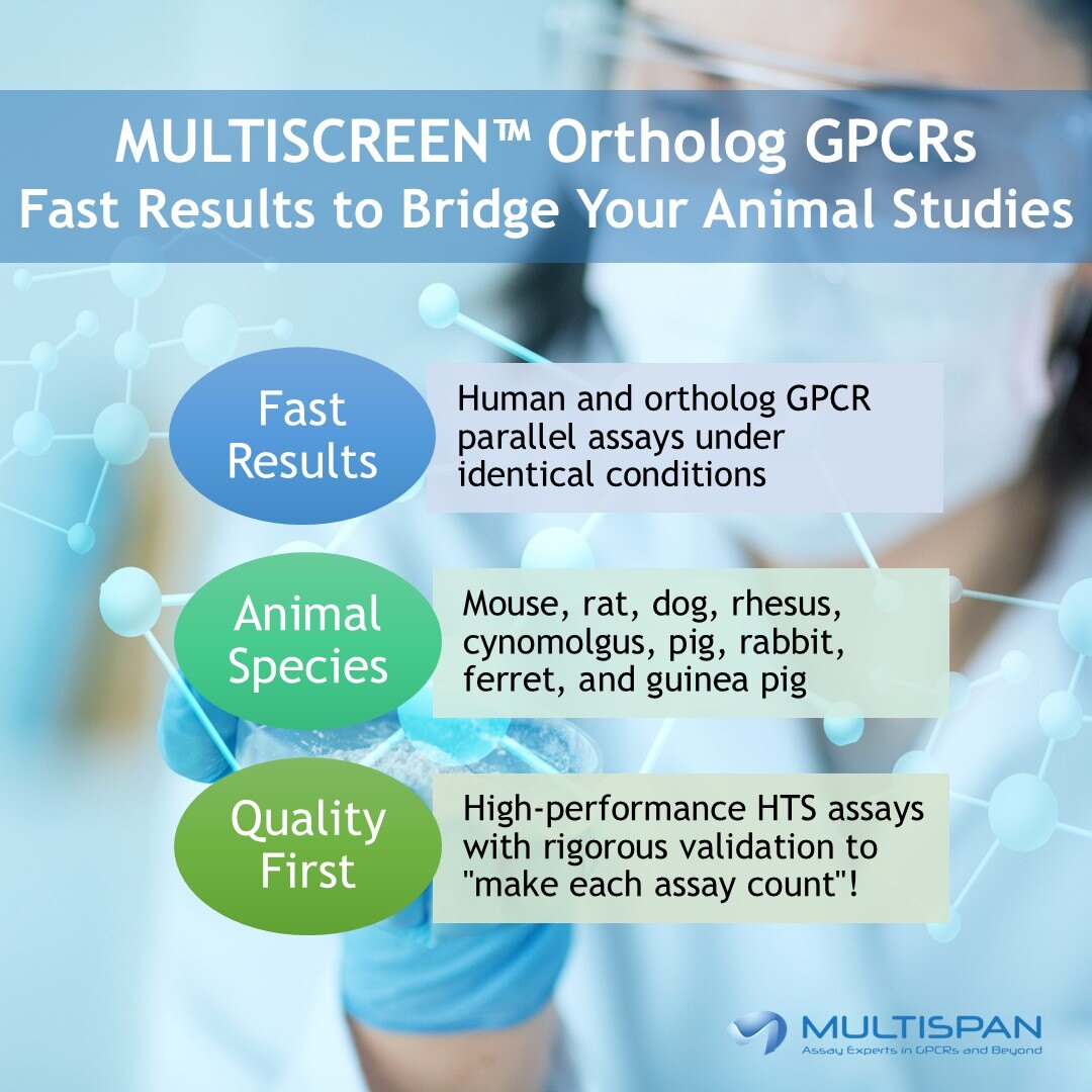 Bridge the gap between preclinical data and clinical success with #MULTISCREEN™ ortholog #HTS cell assay results! hubs.la/Q036RHg20 #Multispan #GPCR #drugdiscovery #research