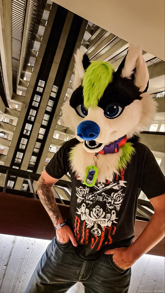 Brandon88645962's tweet photo. @RileyTheFox_ Hecc it, I’ll jump in on this one for you https://t.co/DkIJoFw9nE