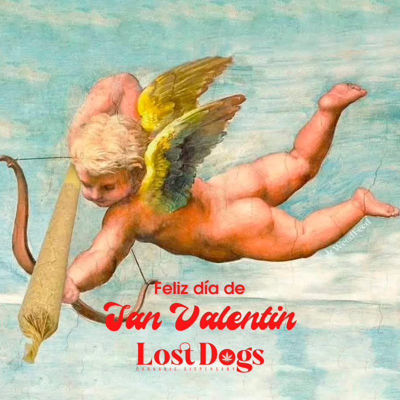 lostdogsoficial's tweet image. Para celebrar una buena #merch #PuertoVallarta #weed #SanValentin 
Whatsapp: 322 104 2746 Envíos a todo México.     
wa.me/3221042746