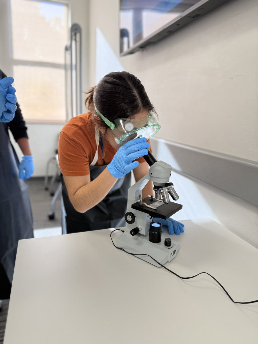 Alexandra Hofferek tweet media