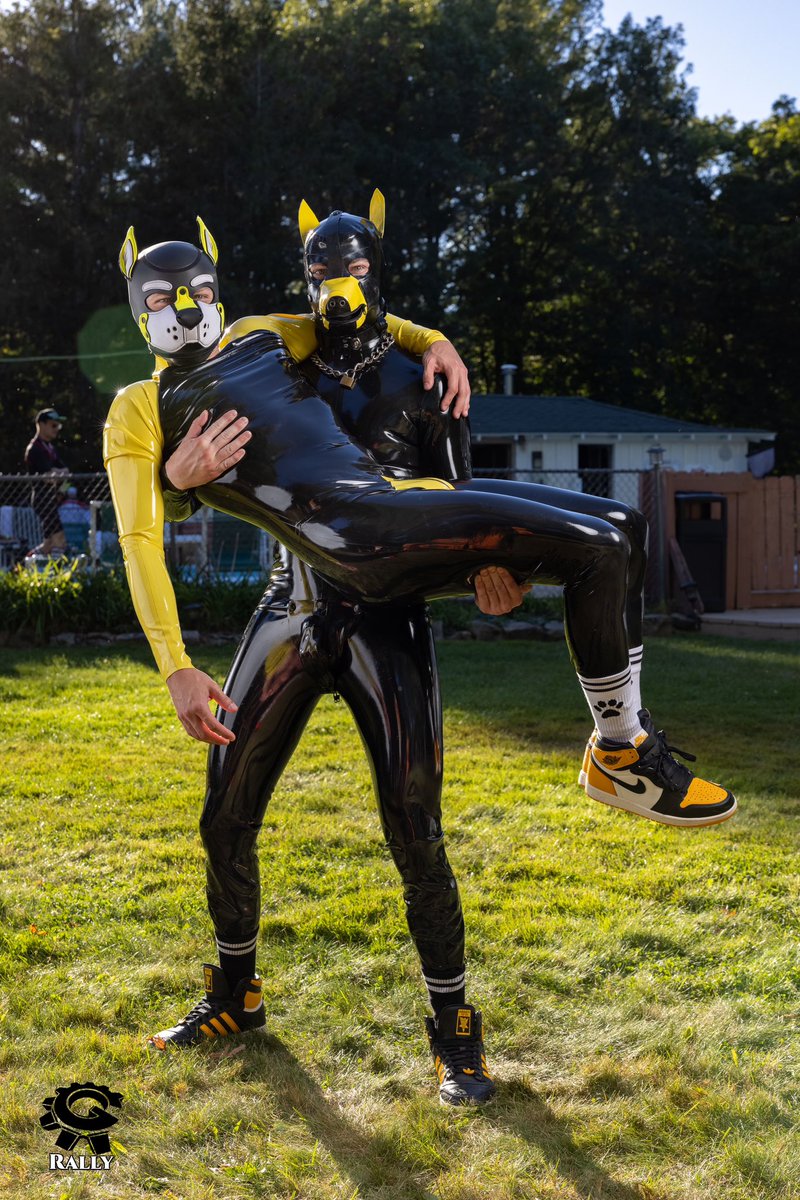 Happy Valentine’s Day 

💛<a href="/PupKooda/">kooda</a> 

📷 <a href="/RubberHandler/">Pup Rally, The Camera Dog</a>