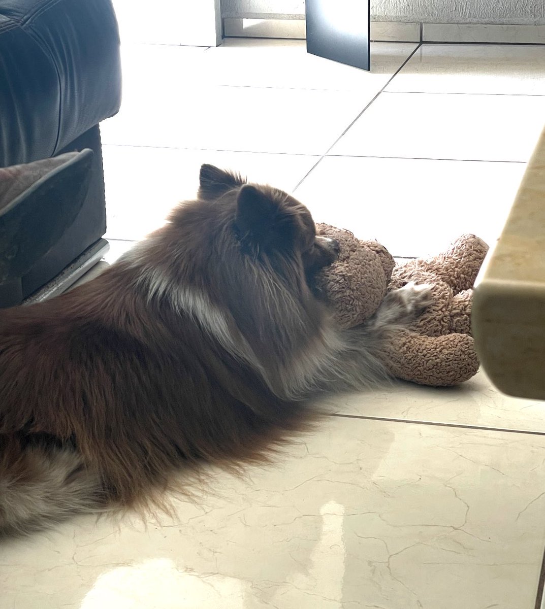 karitheove's tweet image. te vamos a extrañar tinker 💔