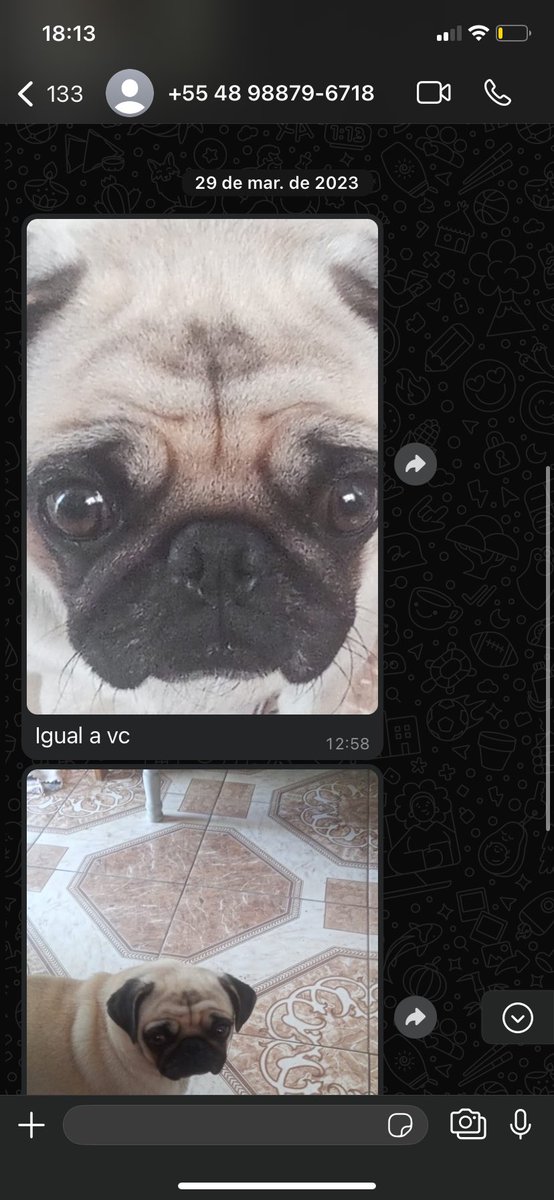 bellaklamt's tweet photo. sério jesus eu não supero isso nunca https://t.co/acIw0XkksS