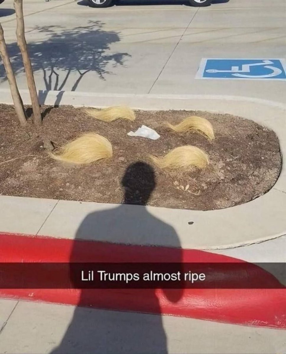 nocontextmemes's tweet image. 