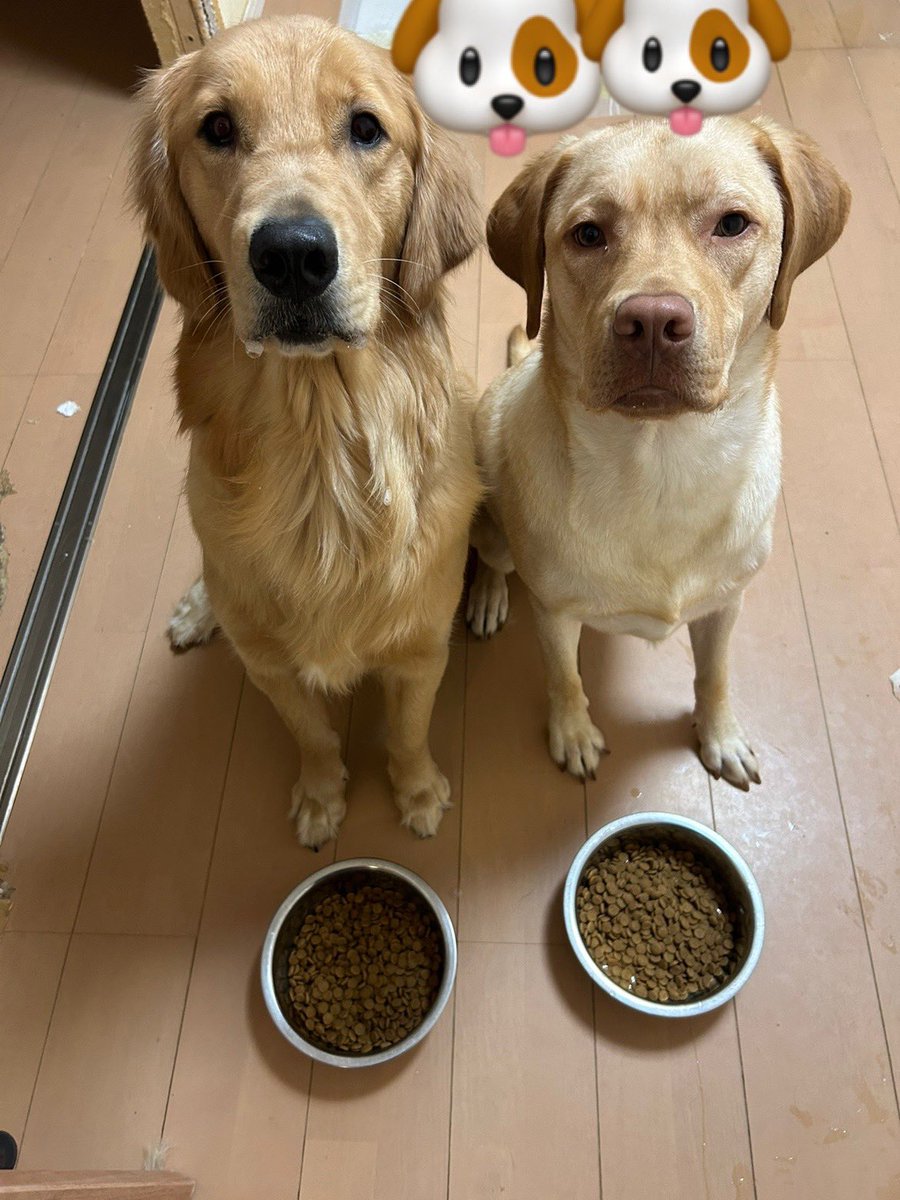 ムタプン tweet media