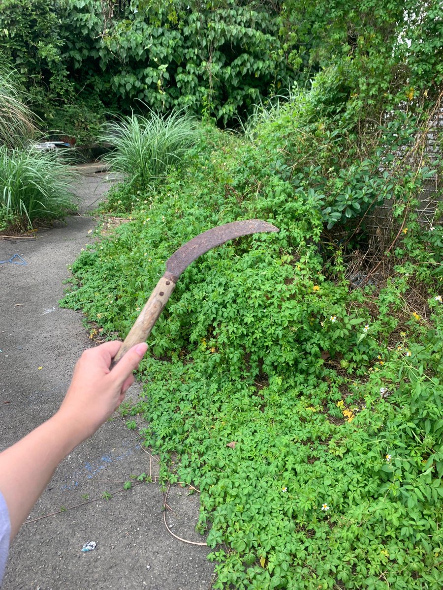 雑草と格闘中…💪🌿 #庭仕事 #汗だく