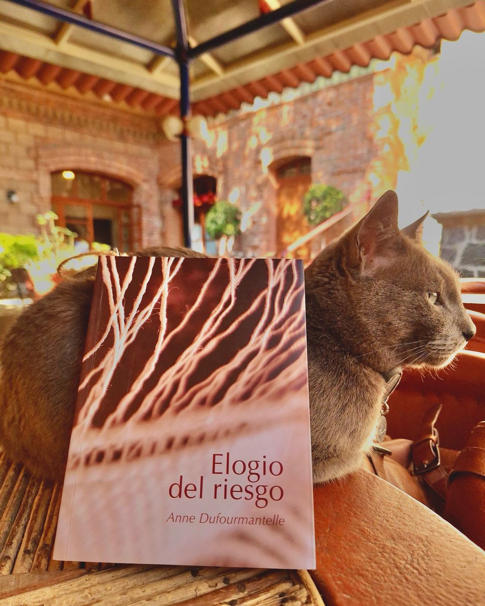 SaberesColegio's tweet photo. Les compartimos un fragmento de la escritura de Anne Dufourmantelle, invitándonos a pensar que correr el riesgo del amor es correr el riesgo de la no pertenencia, de la no posesión. https://t.co/JuGqaF4bw3