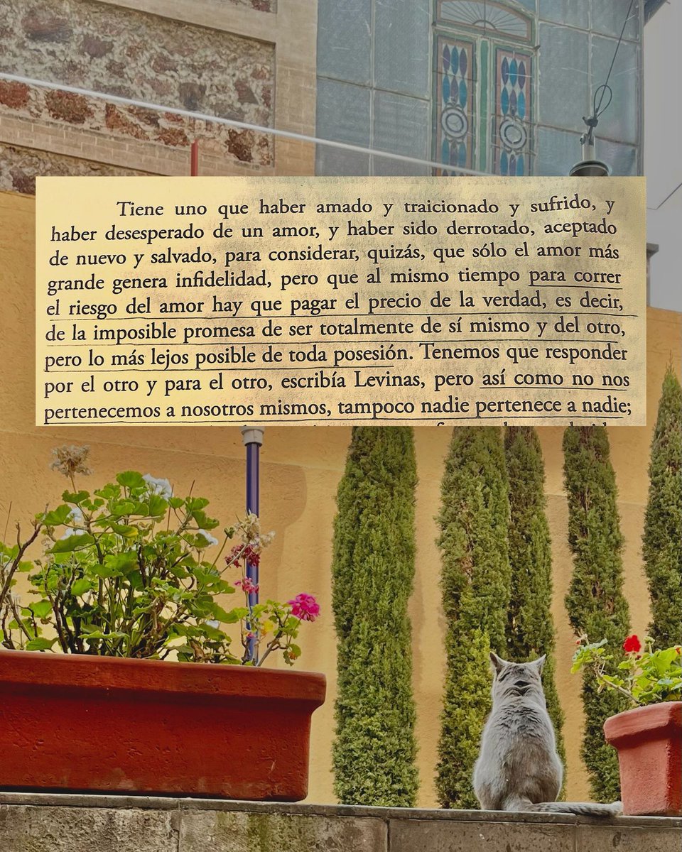SaberesColegio's tweet photo. Les compartimos un fragmento de la escritura de Anne Dufourmantelle, invitándonos a pensar que correr el riesgo del amor es correr el riesgo de la no pertenencia, de la no posesión. https://t.co/JuGqaF4bw3