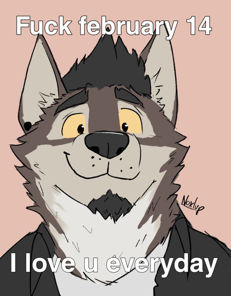 Noxlup 🌃🐺 tweet media