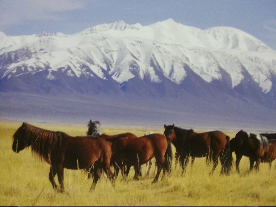 Гэгээн сайхан өглөөний мэндийг 
Та бүхэндээ хүргэе 🌅
Амралтын өдрүүд нь эрч хүч, аз жаргал инээмсэглэлээр дүүрэн байг ээ💙🧡