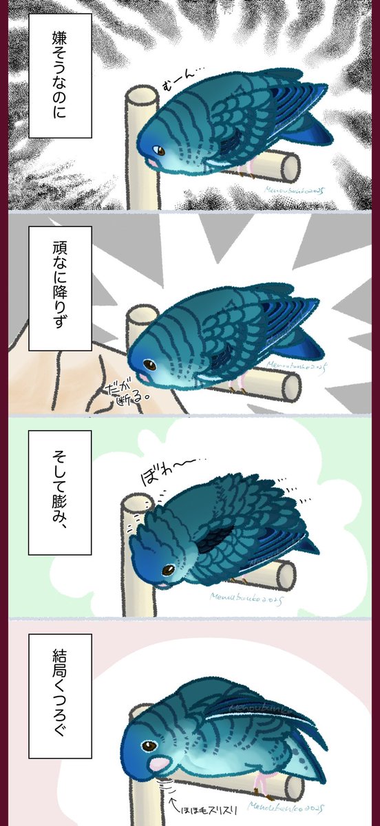 15日だよ、インコの日だよー。少し絵柄を変えてみたサザナミインコ漫画。 