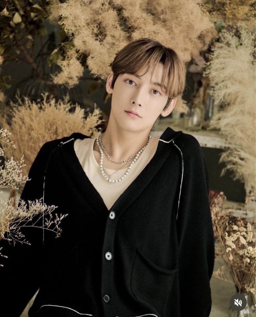 ☆新品・即日配送☆浜川路己 タイプロトレカ timelesz project