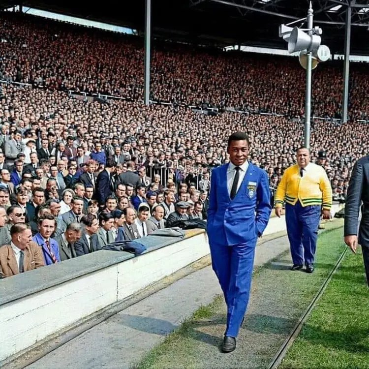 AwDCeruti tweet media