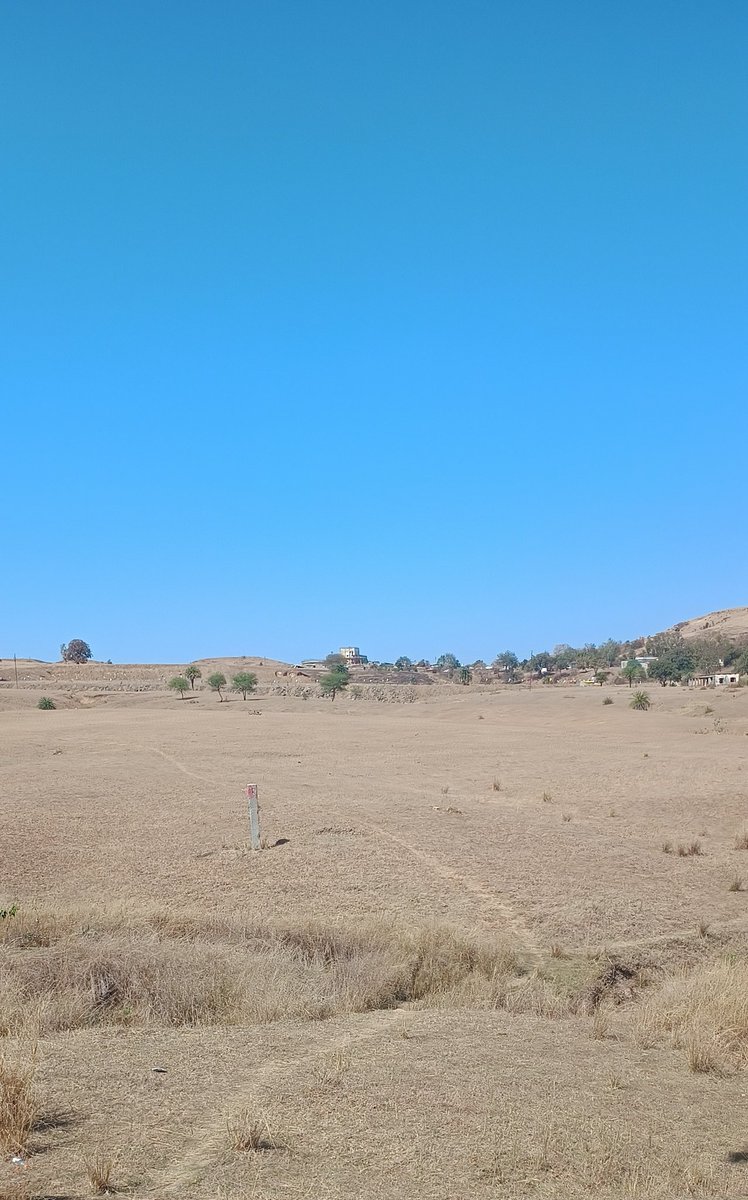 Good Morning X Mates 💐 

Kindness costs nothing but means everything.

Have an amazing day 
RP Mutual 🔄