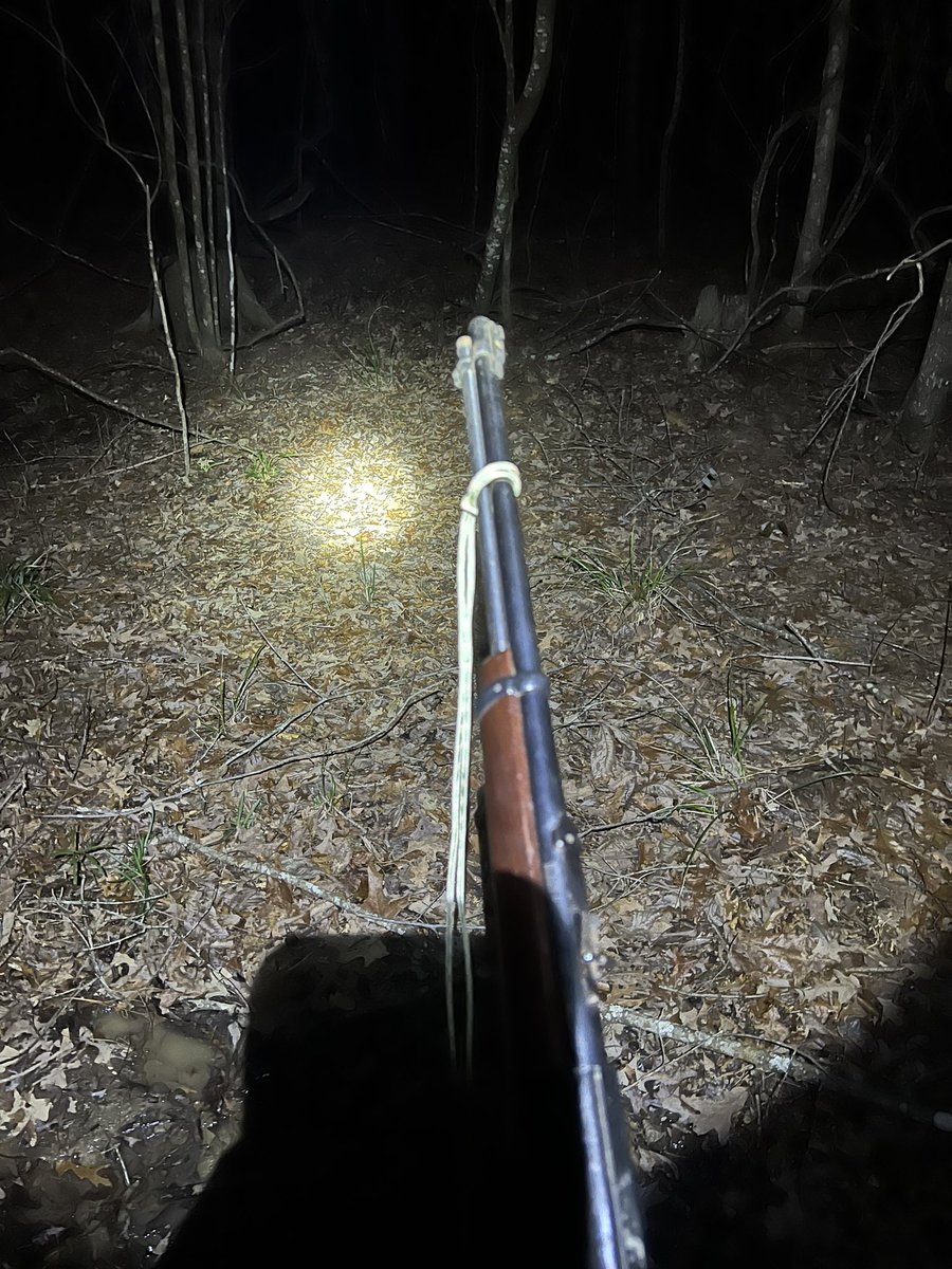 EricCutterman's tweet photo. My favorite hobby #spotlighting https://t.co/vLs4XOW8iF