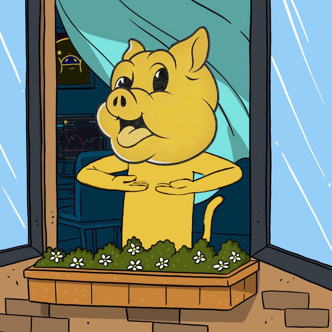 Pig Coin $PIG tweet media