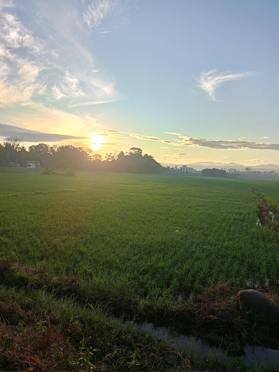 jack_pot7's tweet image. 