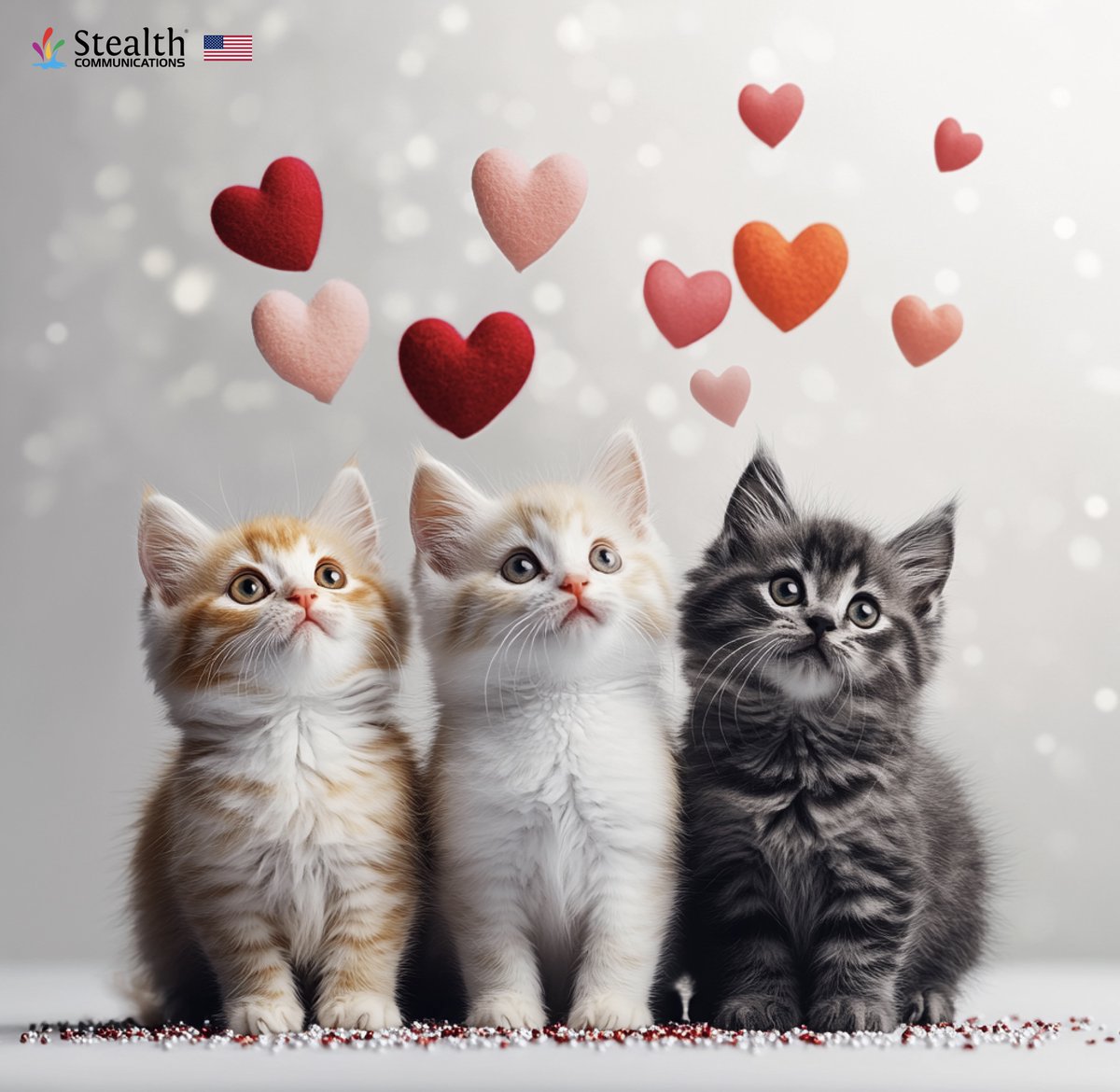 Stealth Fiber 🇺🇸 tweet media