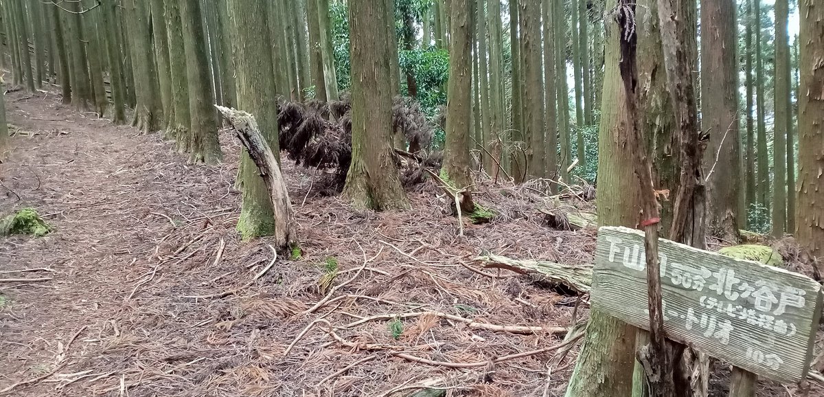mountainbeast2's tweet photo. ピーク着！
今日も静か…
#山梨 #山 #南部町 #甲斐百山 #白水山 #HOKA   #トレイルランニング https://t.co/R6d9go53c5