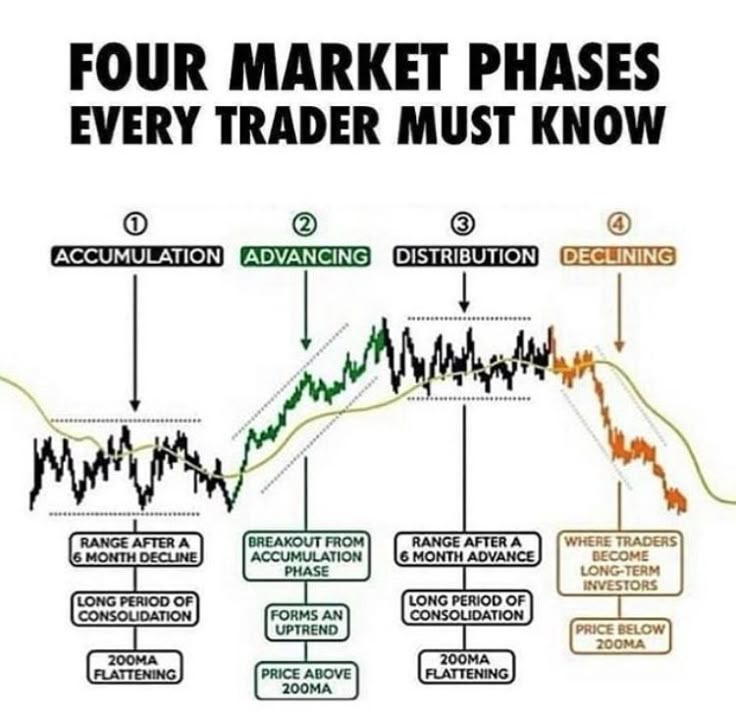 Markets move in these 4 stages: 📈🔄
1️⃣ Accumulation
2️⃣ Markup
3️⃣ Distribution
4️⃣ Markdown
Identify the stage &amp; trade smartly! 🧠💰
❤️ &amp; 🔄 to share the knowledge.

#Trading #StockMarket #Investing #TechnicalAnalysis