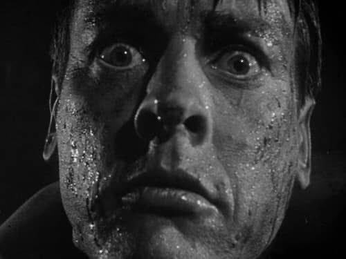 DOrbovich's tweet image. Remembering character actor/genre icon #KevinMcCarthy born on this day in 1914.