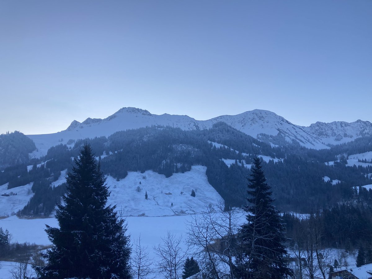 Good morning from Venturer Matravers HQ, all well rested after a good nights sleep. Now enjoying the morning