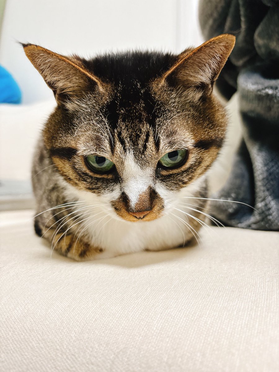 ななし退院祝いのうなぎと元気でよかったバッキーくん