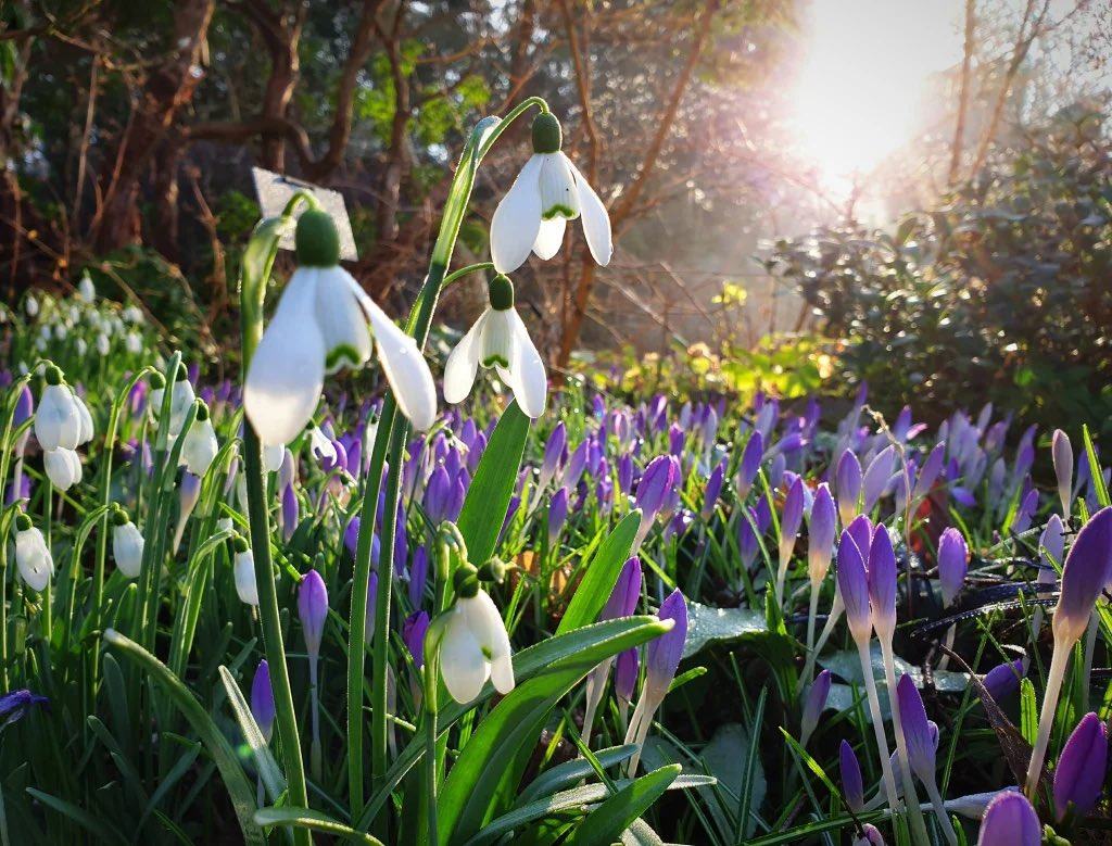Good morning early birds and welcome to the weekend! Still freezing cold, but Spring feels within touching distance! A happy, hopeful day to you!