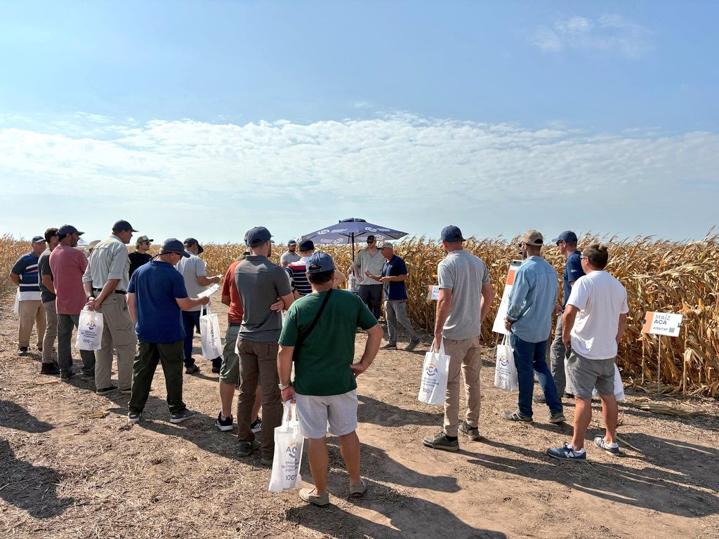 FFerra5's tweet photo. Hermosa jornada de @ACAcoop  en Cda de Gómez y gran público. Plataforma Aca Mi Campo, presentación de la nueva paleta de hibs con @fermrozek y Mati Lucaioli. @RobertoRoton con novedades en biológicos y Zn. A mí me tocó repasar HíbxDensidadxN. El equipo se pasó con la muestra 🙌 https://t.co/rjwO5pfvEM