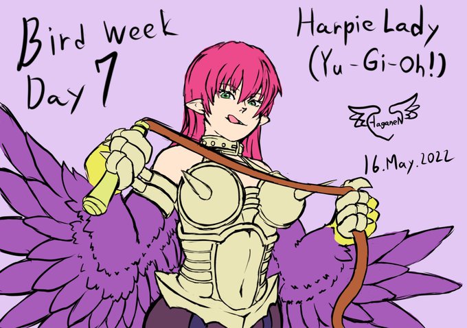 ラッシュデュエルでストラクチャーデッキ出るし、新規ハーピィも収録されると聞いて嬉しくなってるので、 ハーピィ・レディ・SCとハーピィ・クィーン、ハーピィ・レディ1再掲。
みんなハーピィをすこれ 