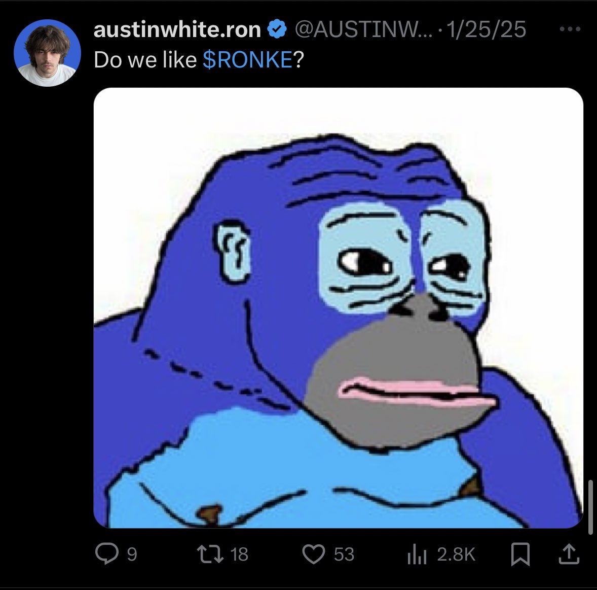 I posted $RONKE sub 20k MC

One of the best ronin focused memes to come out of tama. Love it

My post had zero to do with what shiny coin of the day it is and everything to do with the constant rotating mindshare/liqudity from blue chips capable of breaking out of our tiny bubble