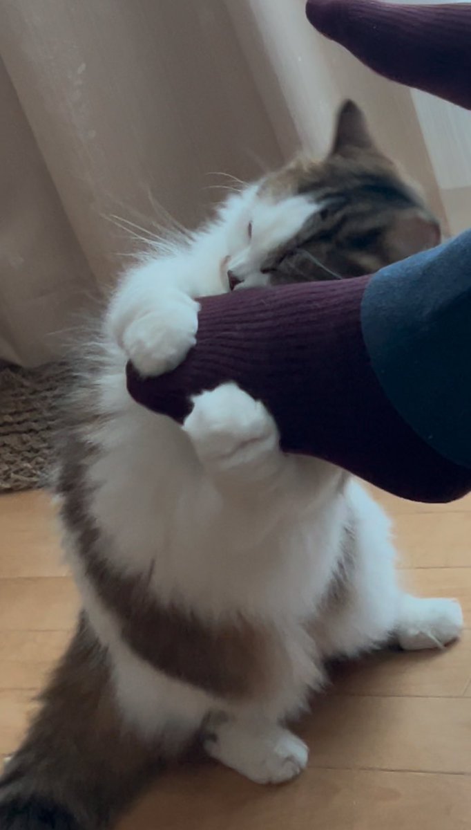 家族の足から何かでてるらしい