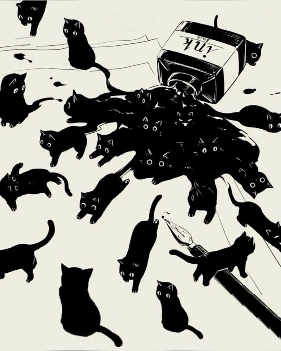 Black cats are not bad luck (@visualscat) on Twitter photo 