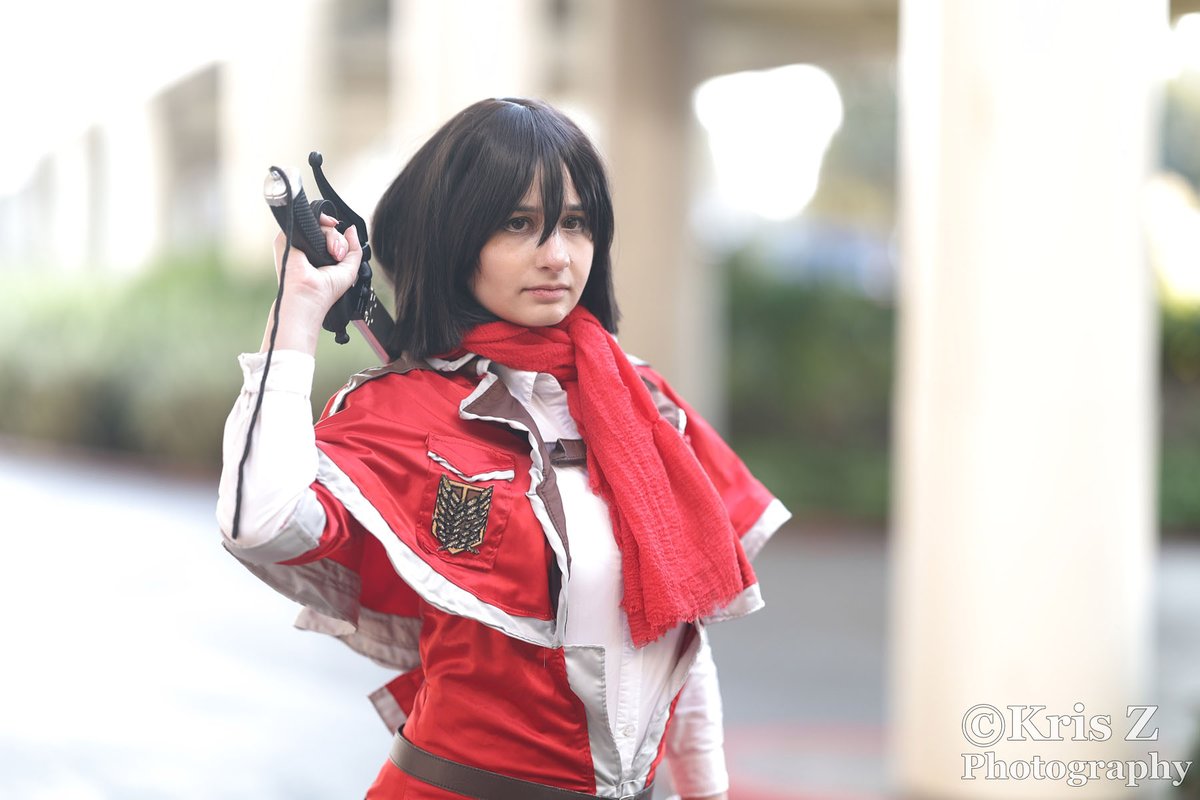 🍃 Under The Cherry Tree 🌸 tweet media