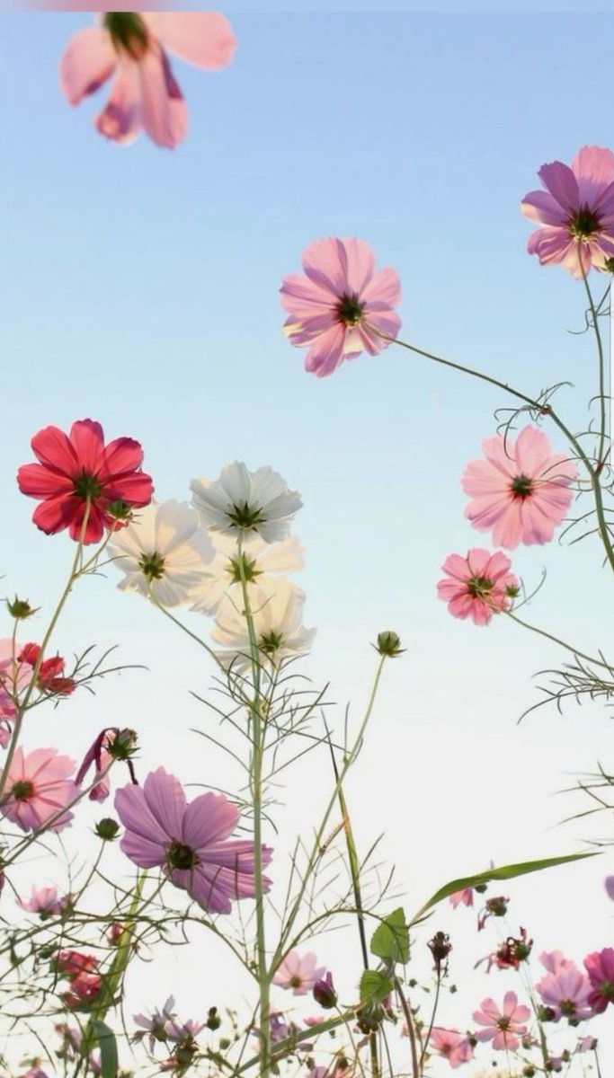 #GPG
<a href="/Ghz97/">❃ 𝐒.𝐆𝐮𝐥 ❃</a> <a href="/Aly9a/">Aly9a</a> <a href="/As_t40/">EriKaCao</a>
@m81mh @_1rha <a href="/ik_553/">.⃝ ⃝ ⃝ ⃝ ⃝💛マスカン 𝐌𝐮𝐬𝐤𝐚𝐧💖. ⃝ ⃝ ⃝ ⃝ ⃝ ⃝💚</a>
<a href="/glmsjd/">𝑺𝒂𝒋𝒋𝒂𝒅 ✨</a> <a href="/Triq25/">⤹𝙈𝙪𝙝𝙖𝙢𝙢𝙖𝙙 𝙏𝙖𝙧𝙞𝙦⤸</a>
<a href="/Fat9T/">Arshia🥀🍂</a> <a href="/Hfz672/">Hafeez❤🖤💚</a>
<a href="/Trq88/">✍︎⸙𝐓αɾιϙ 𝐌υɾƚαȥα࿈</a>
@Aj__55
<a href="/YPS26/">𝑌𝑎𝑆𝑖𝑅 𝑆𝒉𝑎𝒉𝑍𝑎𝐷</a>
<a href="/111mn1/">🐬آمنہ ملک🦋</a>
<a href="/n_oo_r7/">ماہ نور💫</a>
@AS1k34
<a href="/m80mh/">Muhammad Hilal</a>
<a href="/bndy66/">khawaja ASÃD</a>
@IKVEBS
<a href="/SKN322/">SHAHRYAR KHAN</a>
@Qen_pro
@Ozlerntr
<a href="/Msaqb9/">saqibkhan</a>
<a href="/anm_khn/">ابواطياف</a>
<a href="/Sc2017W/">SC2017</a>
<a href="/VOF_P/">PᵃᵏPᵒʷᵉʳجناح کا پاکستان</a> <a href="/Sd_S10/">Sadam Rajput</a>
<a href="/OdriSeva/">Odri Seva</a> <a href="/1Ashi5/">Ashi π² (❖,❖) "base.eth"</a>
<a href="/1lsura/">𝑌𝑎𝑆𝑖𝑅 𝑆𝒉𝑎𝒉𝑍𝑎𝐷</a> <a href="/Hfz48/">Hᴀғᴇᴇᴢᴀʜ Aᴋʙᴀʀ</a> <a href="/_02SD/">SHAHID... شَاهِد</a>
@Lub_03 <a href="/Ghz21/">⍟𝐆𝐡𝐚𝐳𝐚𝐥𝐚 𝐒𝐚𝐝𝐚𝐟⍟</a> <a href="/Ghz79/">❃ 𝔾𝕙𝕒𝕫𝕒𝕝𝕒𝕙 𝕊𝕒𝕕𝕒𝕗 ❃</a>