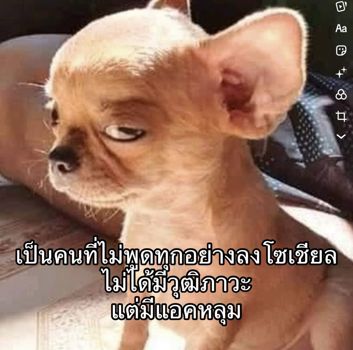 IMeSayIt's tweet image. แอคหลักเหมือนไม่ได้เล่นมา 3 ปี แต่แอคหลุมทวีตทุก 3 นาที