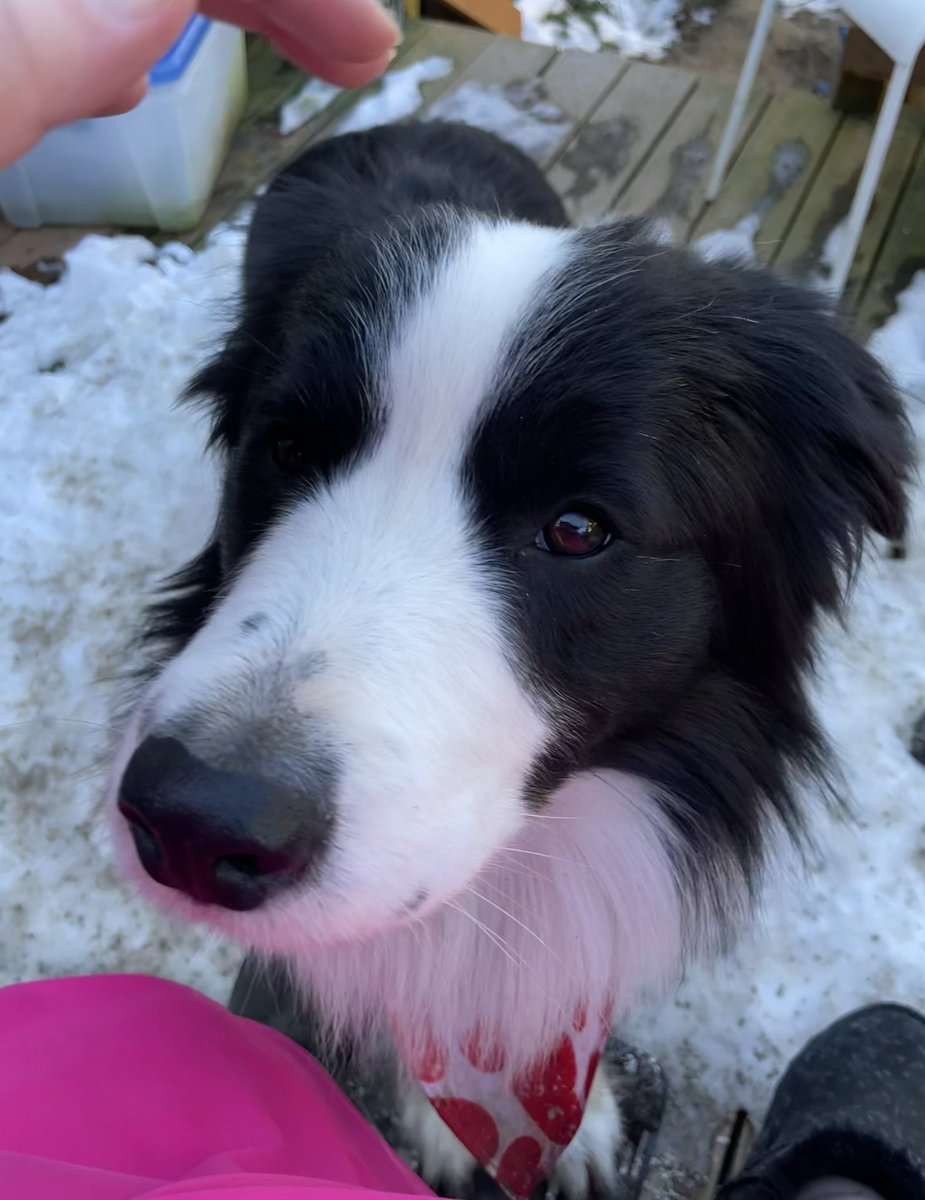 I’m mama’s Valentine 💌