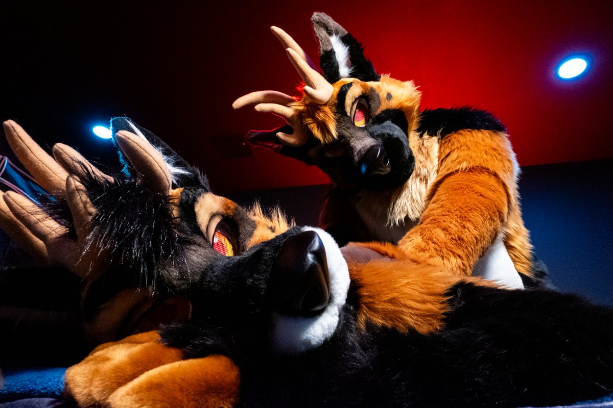 Today's a special day! So I have to make sure it's one he won't forget 😘
Happy Valentine's Day! 

📸: <a href="/Spikeo_O/">Spikeo</a>
✂️: <a href="/MadeFurYou/">Made Fur You</a>

#FursuitFriday
#ValentinesDay