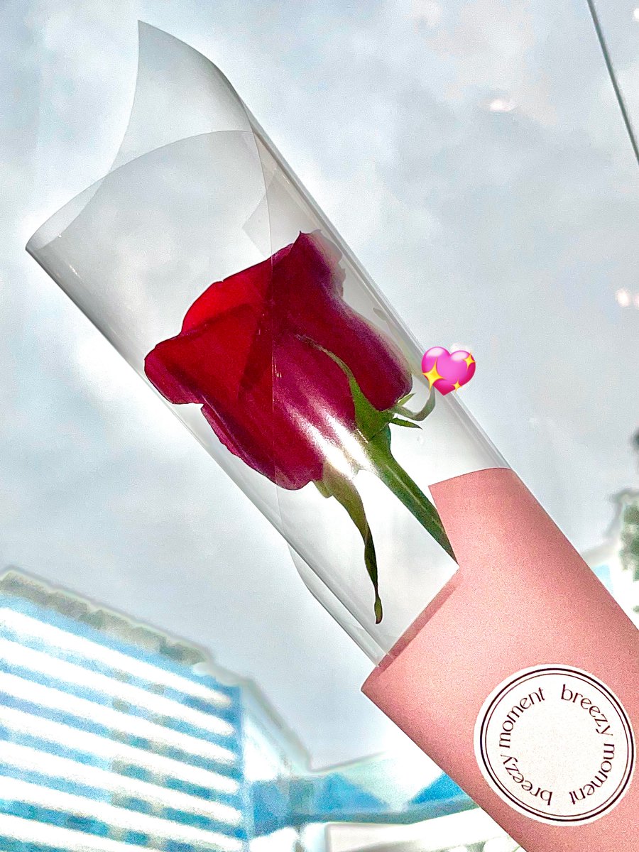 기승전결이 완벽하다... 🌹 🩵💙