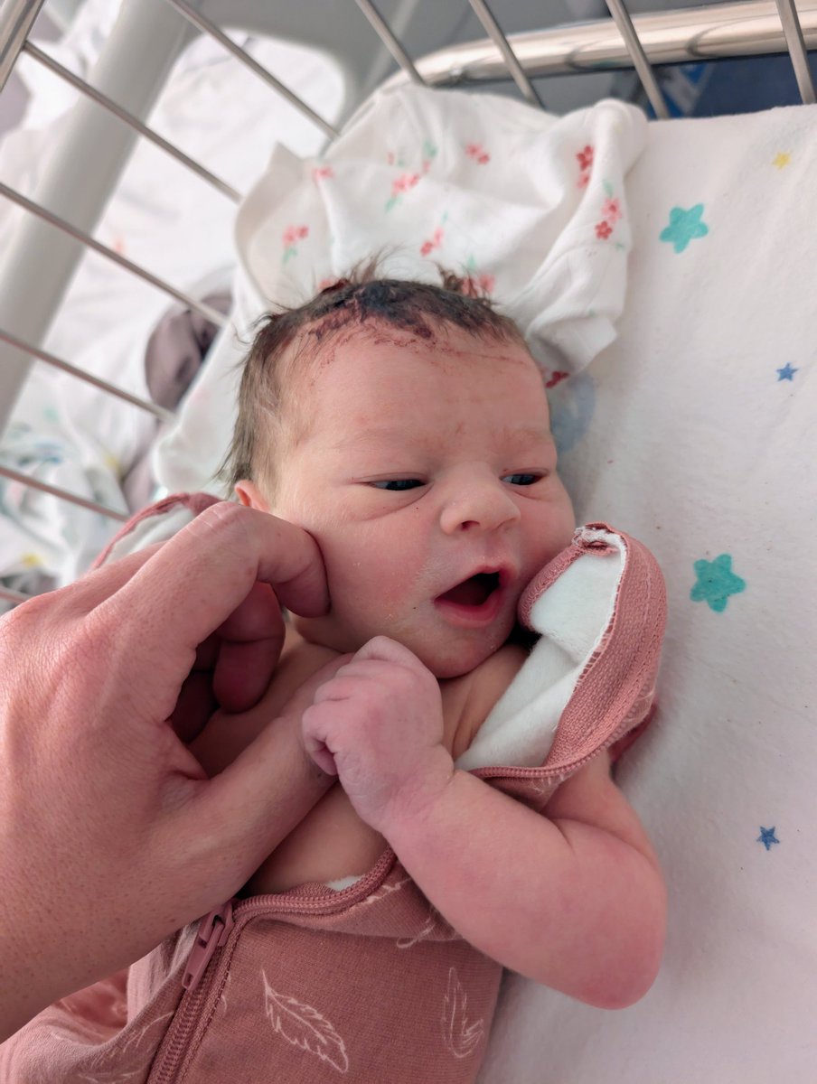 Blayne Treadgold tweet media