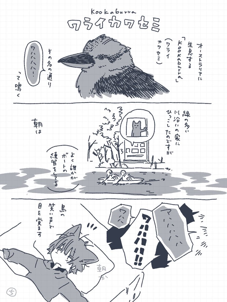 amihsihc02's tweet image. 