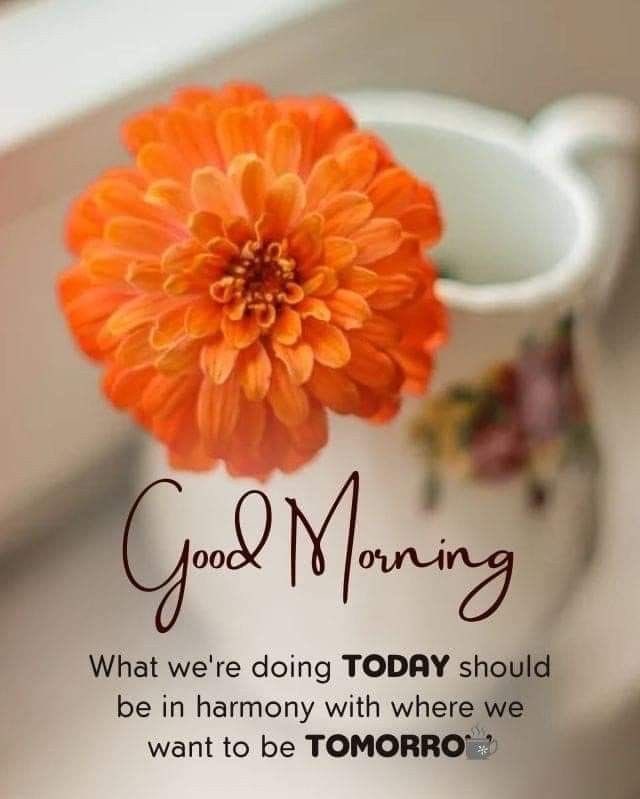 Assalamoaliekum💐

Good Morning “X” Family🌸

Stay Blessed And Be Happy😊🥀

(Mutual Rt )💯