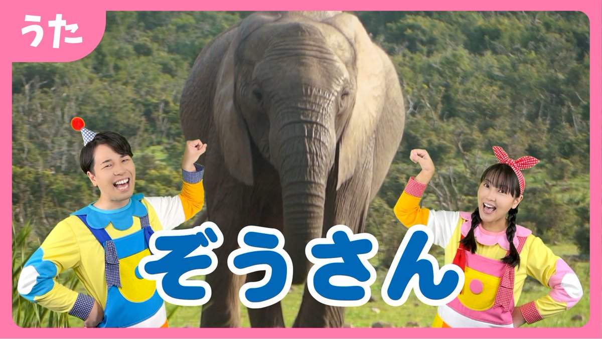 おたまる@まんまるポケット (@otamalu_manmalu) / Posts / X