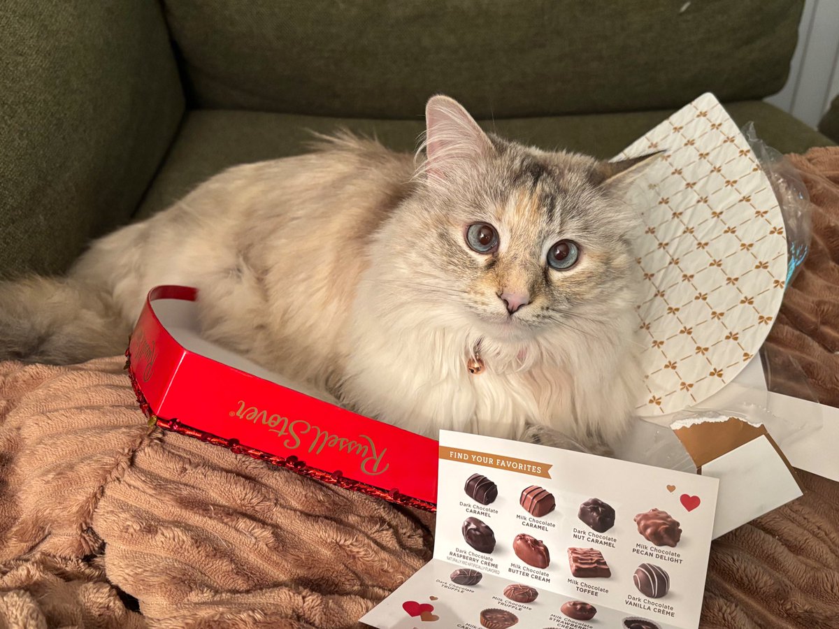 Fine u can have the toffe but the stawbery creem is Mine
