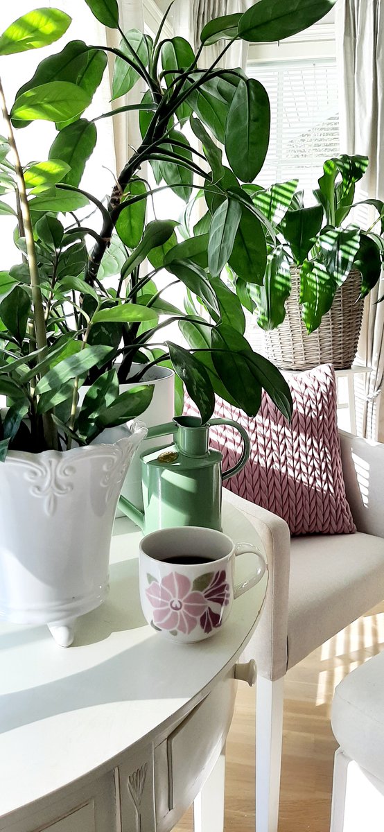 Kihara💫 tweet media