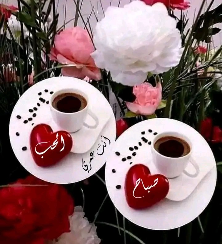 Rasha tweet media
